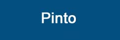 Asistencia técnica calderas Chaffoteaux Pinto